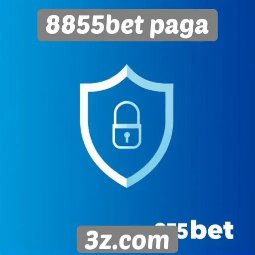 8855bet paga análise de segurança do site de apostas
