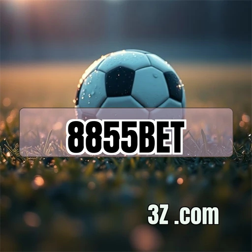 8855bet paga Apostas