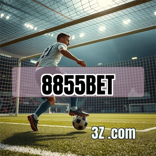 8855bet paga Contato