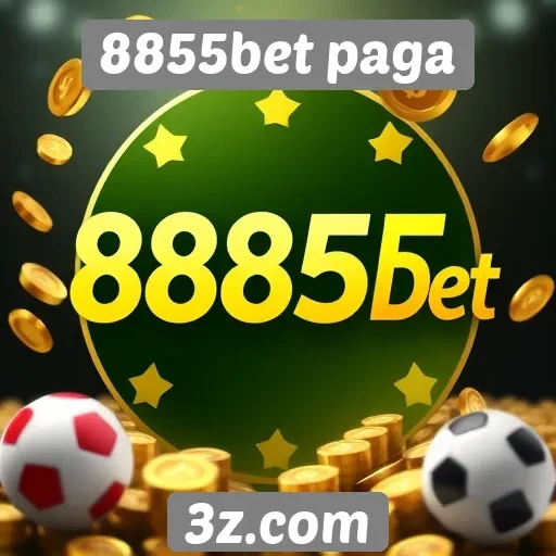 Transparência financeira do site de jogos 8855bet