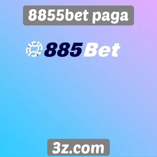 Métodos de pagamento disponíveis no 8855bet