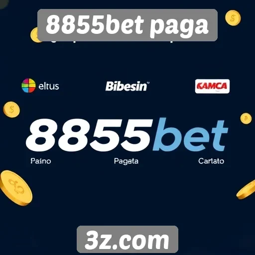 Variedade de métodos de pagamento no 8855bet