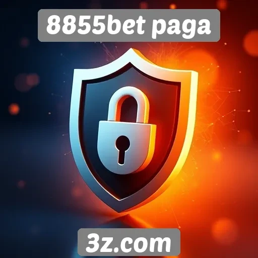 Entenda a segurança do site 8855bet paga